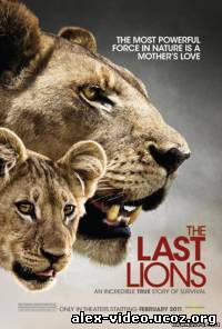 Смотреть Последние львы / The Last Lions (2011/HDRip) онлайн для Билайнеров