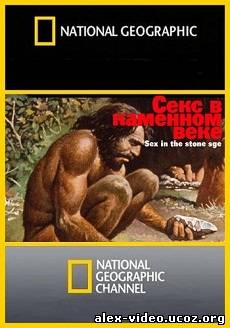 Смотреть National Geographic. Sex in the stone age / National Geographic. Секс в каменном веке (2011,SATRip) онлайн для Билайнеров