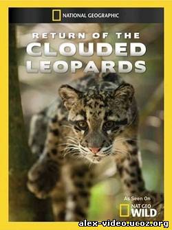 Смотреть National Geographic: Возвращение дымчатых леопардов [2011/HDTVRip] онлайн для Билайнеров