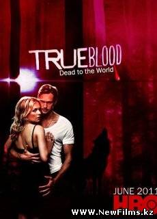 Смотреть Настоящая кровь / True Blood [Сезон 4] онлайн для Билайнеров