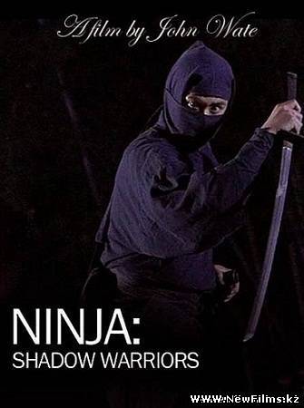 Смотреть Ниндзя: Воины-тени / Ninja. Shadow Warriors (2011) онлайн для Билайнеров