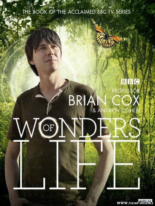 Смотреть Чудеса жизни / Wonders of Life (2013) онлайн для Билайнеров