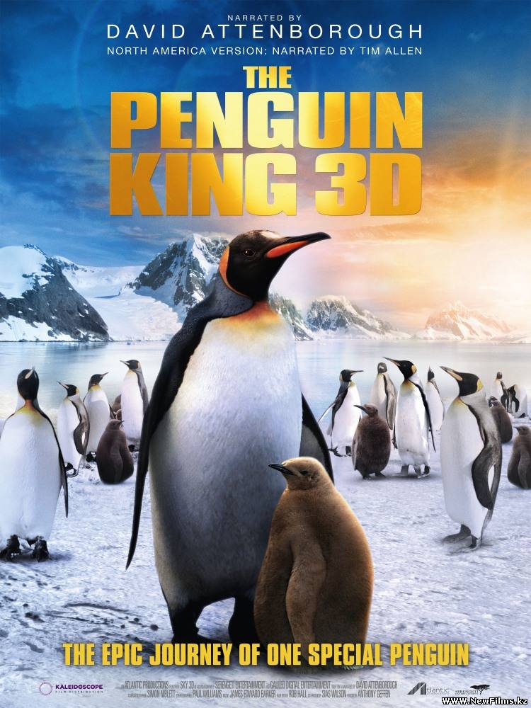 Смотреть Король пингвинов / The Penguin King 3D (2012) онлайн для Билайнеров