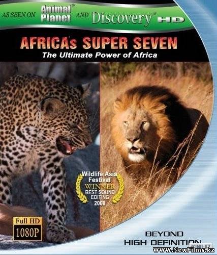 Смотреть Великолепная семерка Африки (2005) онлайн для Билайнеров
