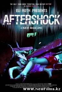 Смотреть Афтершок / Aftershock (2012) онлайн для Билайнеров