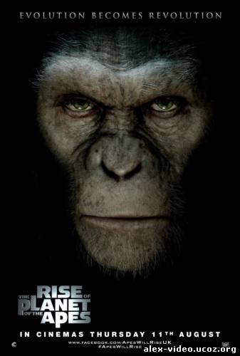 Смотреть Восстание планеты обезьян / Rise of the Planet of the Apes (2011/HDRip) онлайн для Билайнеров