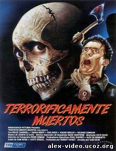 Смотреть Зловещие Мертвецы 2: мертвые до рассвета / Evil Dead II [1987/DVDRip] онлайн для Билайнеров