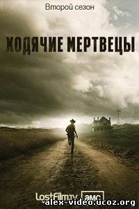 Смотреть Ходячие мертвецы / The Walking Dead (Сезон 2) онлайн для Билайнеров