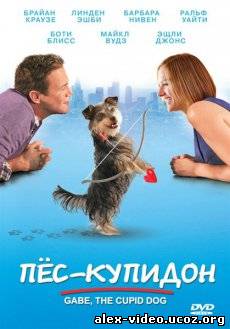 Смотреть Пес-купидон / Gabe the Cupid Dog [2012/DVDRip] онлайн для Билайнеров