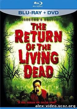 Смотреть Возвращение живых мертвецов / The Return of the Living Dead (1985) BDRip онлайн для Билайнеров