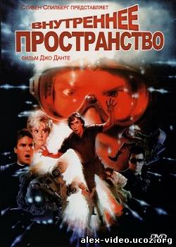 Смотреть Внутреннее пространство / Innerspace (1987) HDRip онлайн для Билайнеров