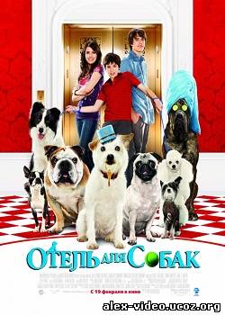 Смотреть Отель для собак / Hotel for Dogs (2009) HDRip онлайн для Билайнеров